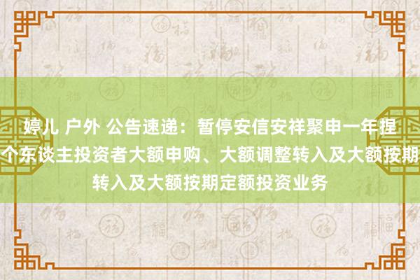 婷儿 户外 公告速递：暂停安信安祥聚申一年捏有搀杂基金非个东谈主投资者大额申购、大额调整转入及大额按期定额投资业务