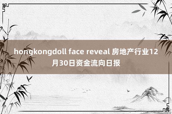 hongkongdoll face reveal 房地产行业12月30日资金流向日报