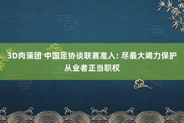 3D肉蒲团 中国足协谈联赛准入: 尽最大竭力保护从业者正当职权