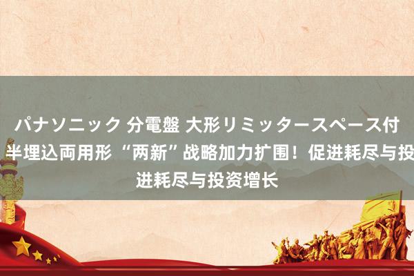 パナソニック 分電盤 大形リミッタースペース付 露出・半埋込両用形 “两新”战略加力扩围！促进耗尽与投资增长