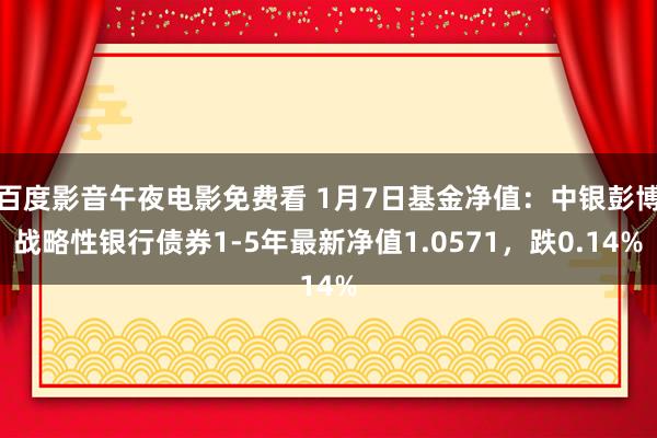 百度影音午夜电影免费看 1月7日基金净值：中银彭博战略性银行债券1-5年最新净值1.0571，跌0.14%