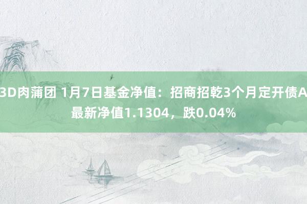 3D肉蒲团 1月7日基金净值：招商招乾3个月定开债A最新净值1.1304，跌0.04%