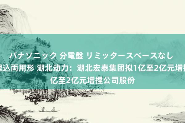 パナソニック 分電盤 リミッタースペースなし 露出・半埋込両用形 湖北动力：湖北宏泰集团拟1亿至2亿元增捏公司股份