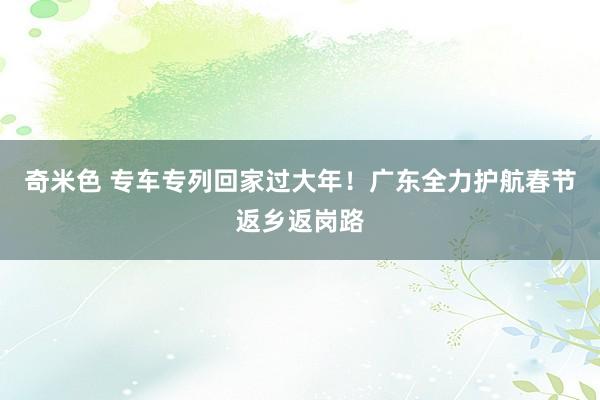 奇米色 专车专列回家过大年！广东全力护航春节返乡返岗路