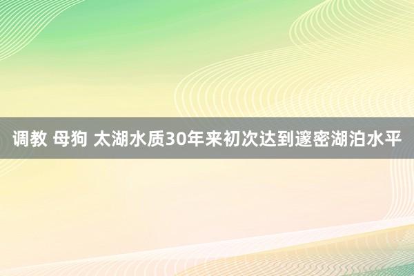 调教 母狗 太湖水质30年来初次达到邃密湖泊水平