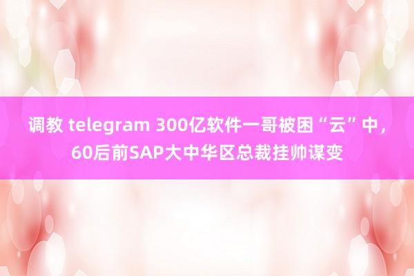 调教 telegram 300亿软件一哥被困“云”中，60后前SAP大中华区总裁挂帅谋变