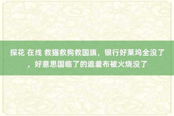 探花 在线 救猫救狗救国旗，银行好莱坞全没了，好意思国临了的遮羞布被火烧没了