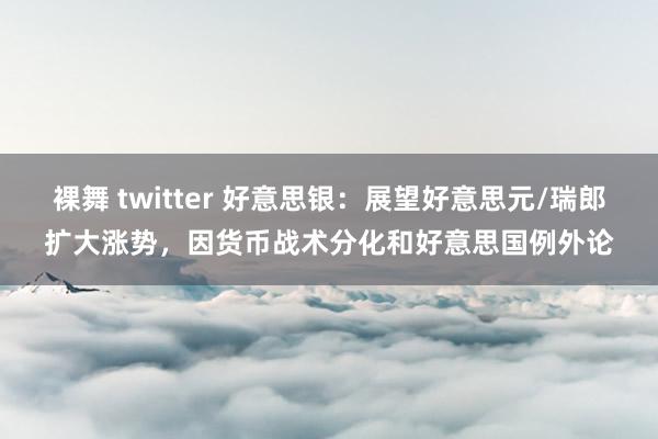 裸舞 twitter 好意思银：展望好意思元/瑞郎扩大涨势，因货币战术分化和好意思国例外论